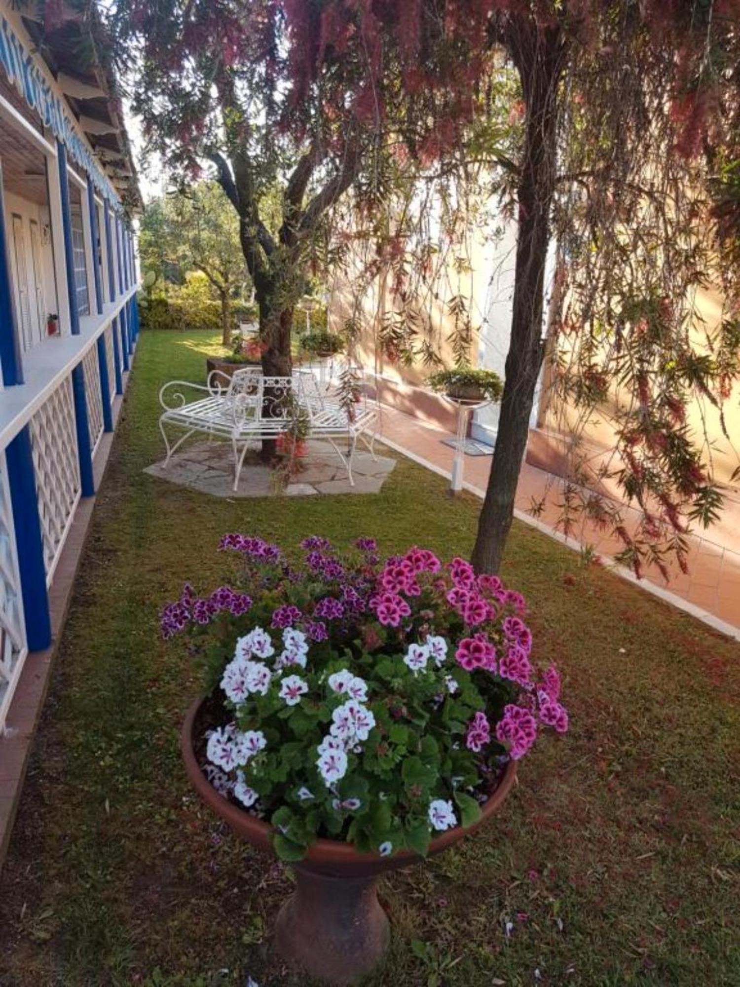 Bed And Breakfast Bagno Venezia Marina Di Carrara Esterno foto
